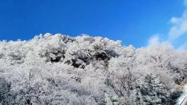 山东高速男篮惜败深圳男篮,教练组犯了三个无法原谅的错误