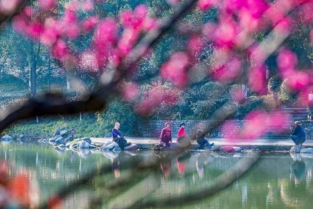 喜茶上线《繁花》首个新茶饮联名产品