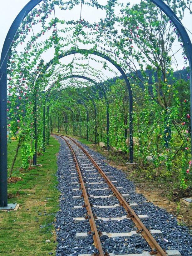 环足奖官方：阿根廷国家队主帅斯卡洛尼荣获环足奖教练生涯奖