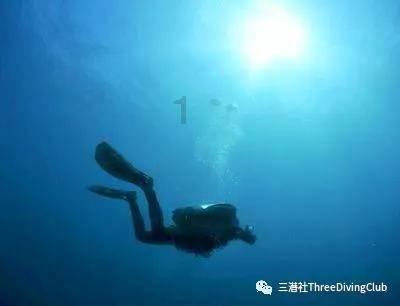 清代.蓝深《花港观鱼》