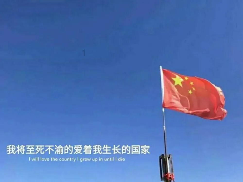 88影视